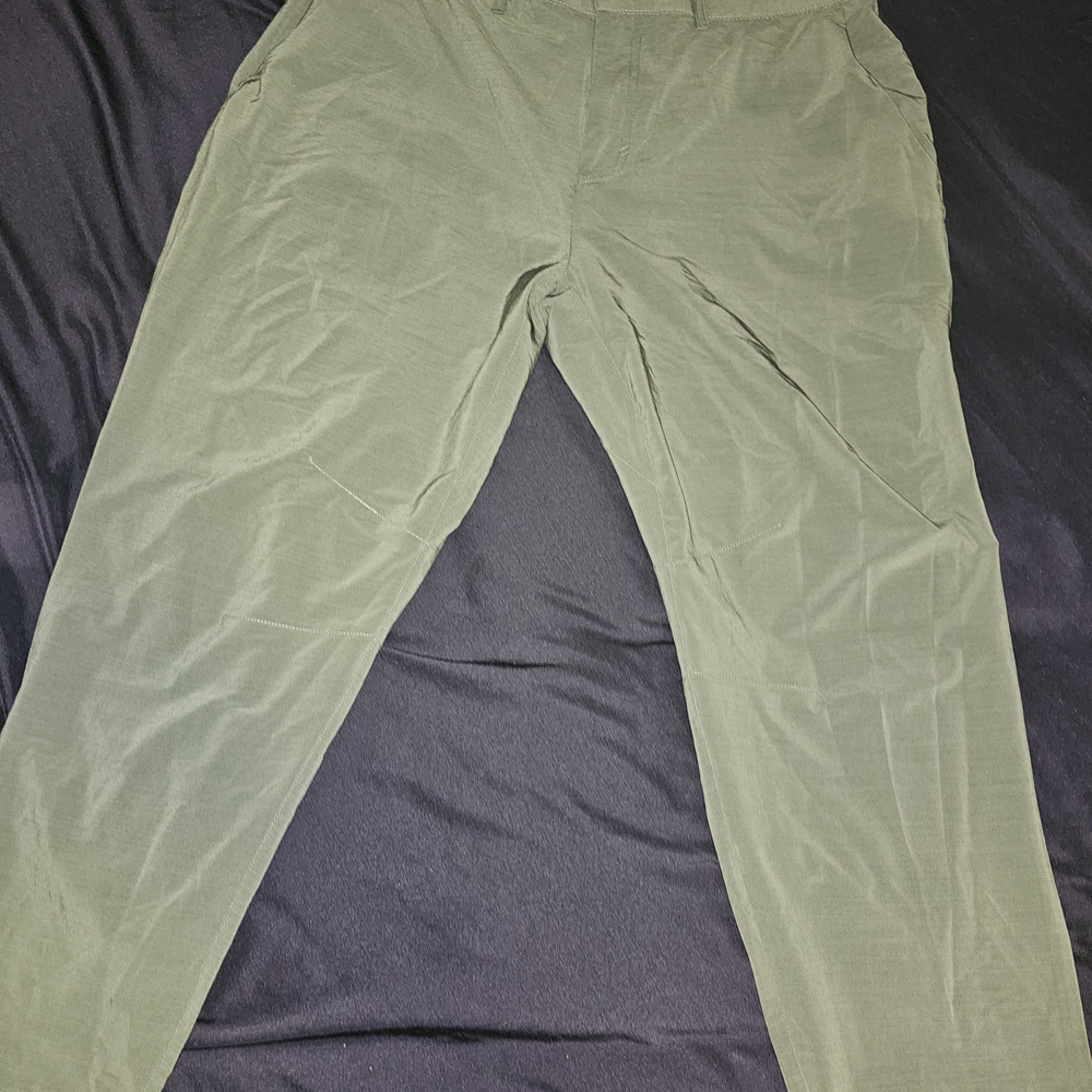 Fabletics Men's Sage Green Chinos